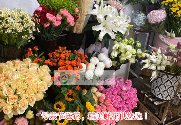 2024襄阳樊城区母亲节送花,襄阳樊城区精美鲜花供您选!